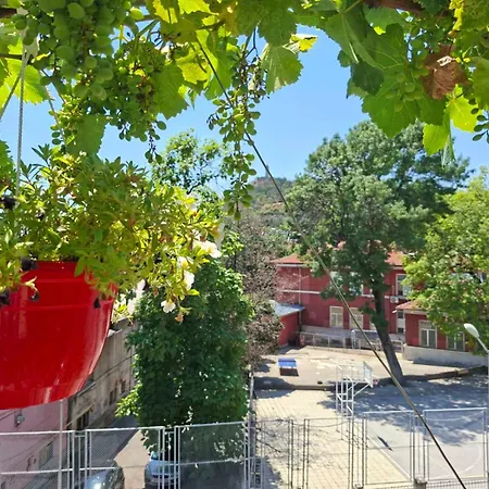 Cozy With French Windows Daire *