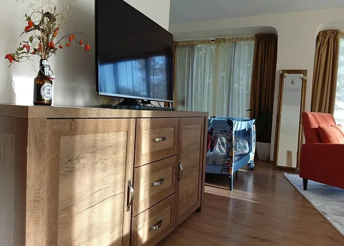 French Windows Center Appartement *