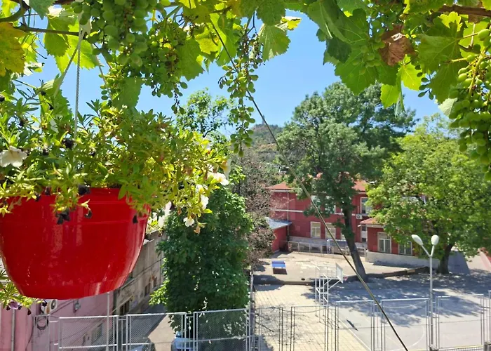 French Windows Center Appartement *